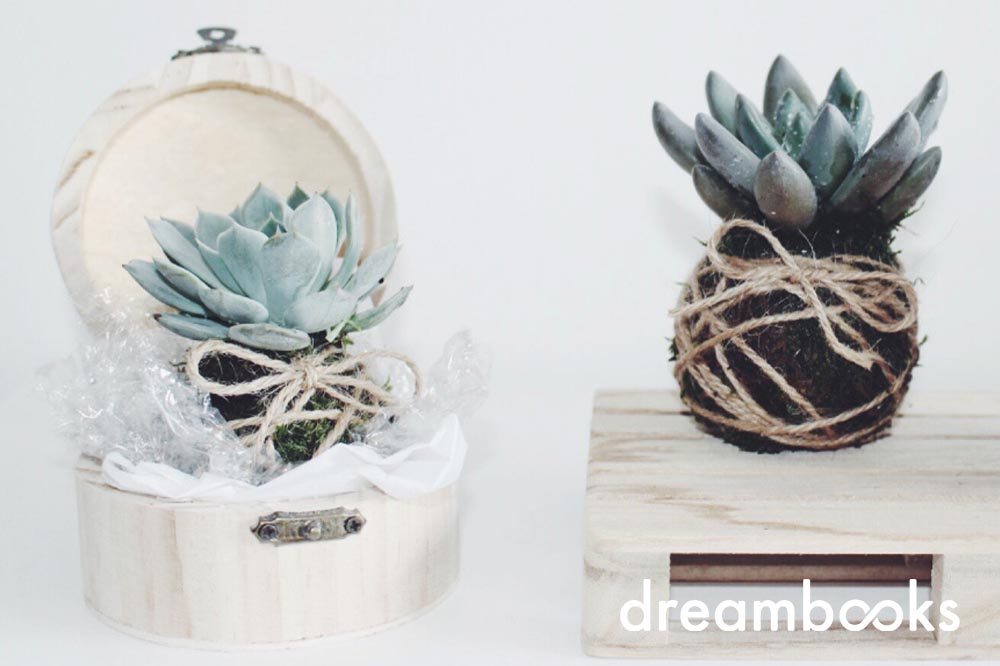 Prepara-te para um mini workshop caseiro com Kokedamas e descobre todos os benefícios desta forma de arte.